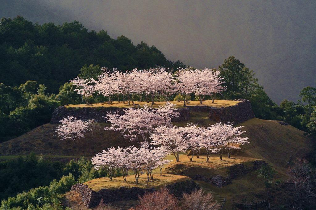 Iruka Onsen Hotel Seiryuusou Kumano Exteriör bild